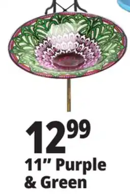 Ocean State Job Lot 11 Purple & Green offer