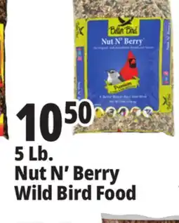Ocean State Job Lot Better Bird Premium Nut N' Berry Bird Food 5 lbs offer