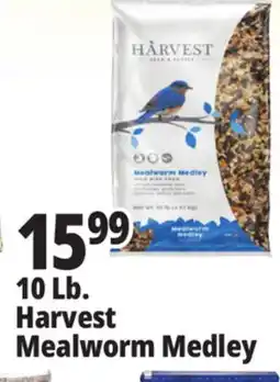 Ocean State Job Lot 10 Lb. Harvest Mealworm Medley offer