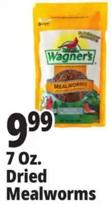 Ocean State Job Lot 7 Oz. Dried Mealworms offer