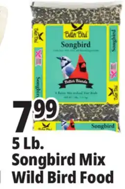 Ocean State Job Lot Better Bird Songbird Better Blends Food 5 lbs offer