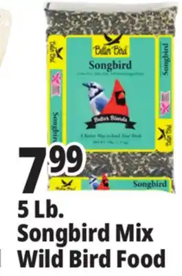 Ocean State Job Lot Better Bird Songbird Better Blends Food 5 lbs offer