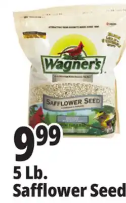 Ocean State Job Lot Wagner's Safflower Seed Deluxe Wild Bird Food offer