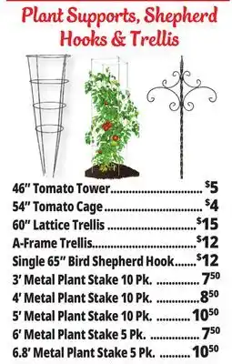 Ocean State Job Lot Plant Support offer