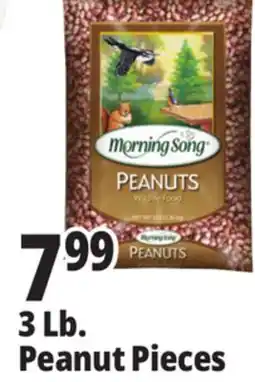 Ocean State Job Lot Morning Song Wildlife Food Peanuts 3 lbs offer