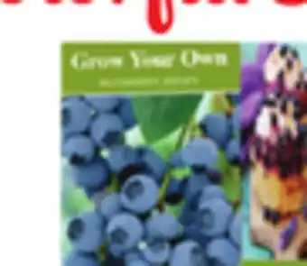 Ocean State Job Lot Grow Your Own Fruits & Vegetables offer
