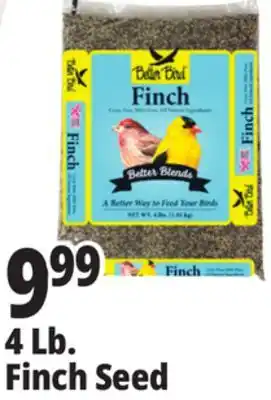 Ocean State Job Lot Better Bird Finch Bird Food 4 lbs offer