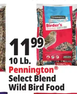 Ocean State Job Lot 10 Lb. Pennington Select Blend Wild Bird Food offer