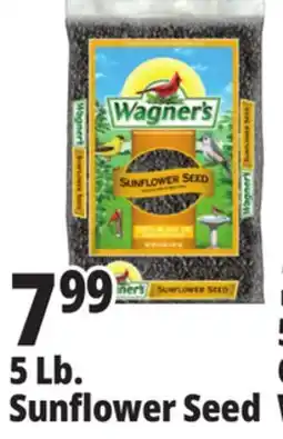 Ocean State Job Lot Wagner's Black Oil Sunflower Seed Wild Bird Food 5 lbs offer