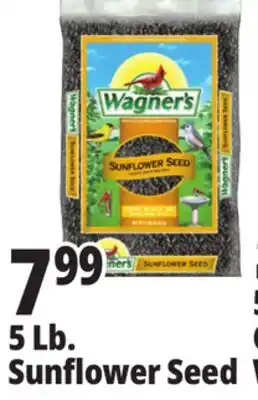 Ocean State Job Lot Wagner's Black Oil Sunflower Seed Wild Bird Food 5 lbs offer