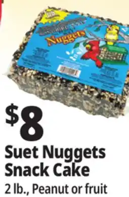 Ocean State Job Lot C&S Songbird Snak with Peanut Suet Nuggets 32 oz offer