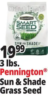 Ocean State Job Lot Pennington Smart Seed Sun & Shade Grass Seed 3 lbs offer