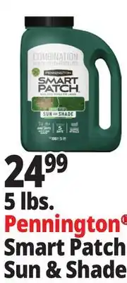 Ocean State Job Lot 5 lbs. Pennington Smart Patch Sun & Shade offer