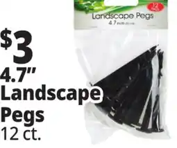 Ocean State Job Lot Tiller & Rowe Landscape Pegs 12 Count offer