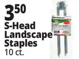 Ocean State Job Lot S-Head Landscape Staples offer