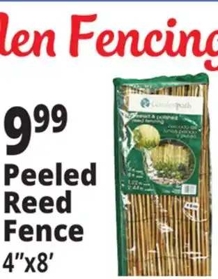 Ocean State Job Lot Gardenpath Peeled and Polished Reed Fencing 8' offer