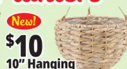Ocean State Job Lot 10 Hanging Woven Planters offer