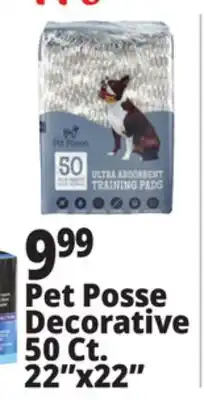 Ocean State Job Lot Pet Posse Decorative 50 Ct. 22x22 offer