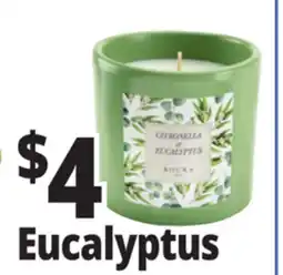 Ocean State Job Lot Roura Citronella & Eucalyptus Candle offer