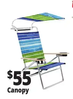 Ocean State Job Lot Canopy offer