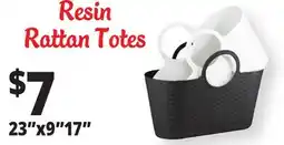 Ocean State Job Lot 23x917 Resin Rattan Totes offer
