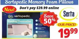 Ocean State Job Lot Sertapedic Memory Foam Pillows offer