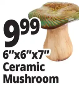 Ocean State Job Lot 6x6x7 Ceramic Mushroom offer