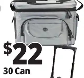 Ocean State Job Lot North Peak Hard Lined Cooler 30-can offer