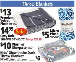 Ocean State Job Lot Throw Blankets offer