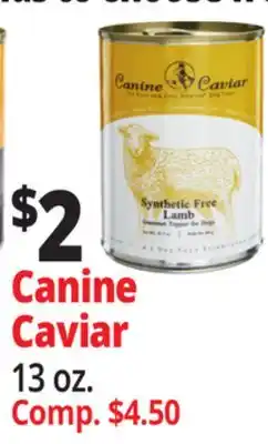 Ocean State Job Lot Canine Caviar offer
