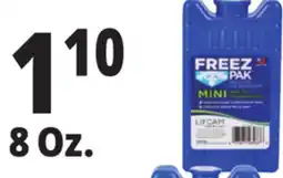 Ocean State Job Lot Freez Pak Reusable Mini Ice Pack 8 oz offer