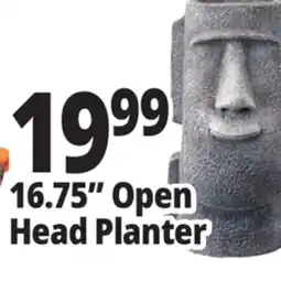Ocean State Job Lot 16.75 Open Head Planter offer