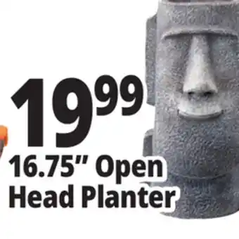 Ocean State Job Lot 16.75 Open Head Planter offer