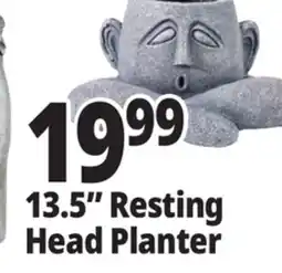 Ocean State Job Lot 13.5 Resting Head Planter offer