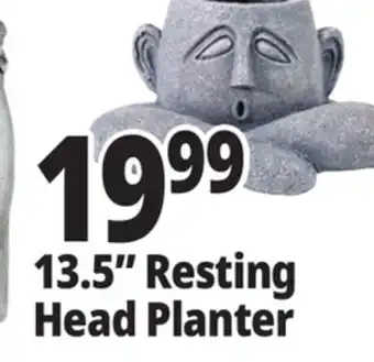 Ocean State Job Lot 13.5 Resting Head Planter offer