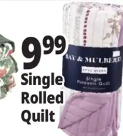 Ocean State Job Lot Single Rolled Quilt offer