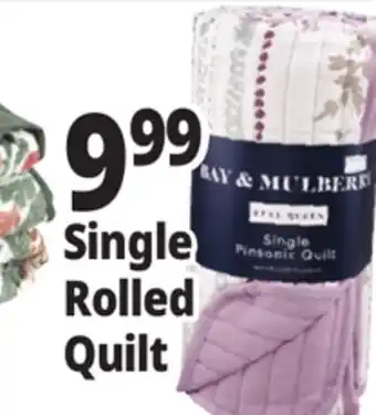 Ocean State Job Lot Single Rolled Quilt offer