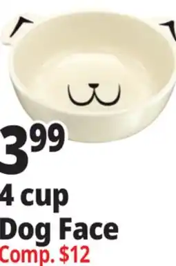 Ocean State Job Lot 4 cup Dog Face offer