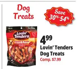 Ocean State Job Lot Lovin' Tenders Dog Treats offer
