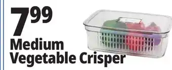 Ocean State Job Lot Medium Vegetable Crisper offer