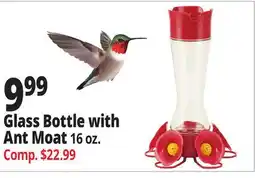 Ocean State Job Lot Glass Bottle with Ant Moat offer