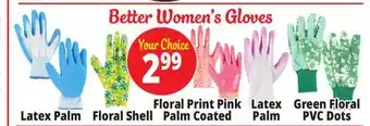 Ocean State Job Lot Garden Gloves offer