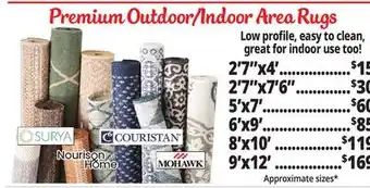 Ocean State Job Lot Indoor/Outdoor Rugs offer