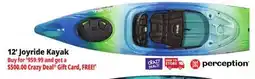 Ocean State Job Lot Perception Joyride 12.0 Recreational Kayak Deja Vu offer