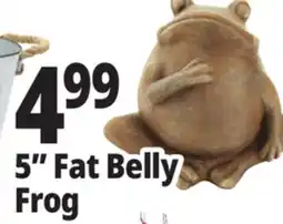 Ocean State Job Lot Fat Belly Frog Garden Statue 5 offer
