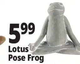 Ocean State Job Lot Stone Frog Statue offer