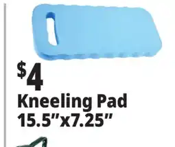 Ocean State Job Lot Tiller & Rowe EVA Foam Kneeling Pad 15.5 offer