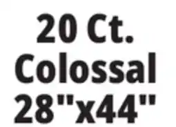 Ocean State Job Lot 20 Ct. Colossal 28x44 Puppy Pads offer