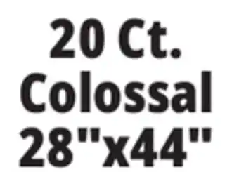 Ocean State Job Lot 20 Ct. Colossal 28x44 Puppy Pads offer