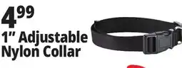 Ocean State Job Lot 1 Adjustable Nylon Collar offer